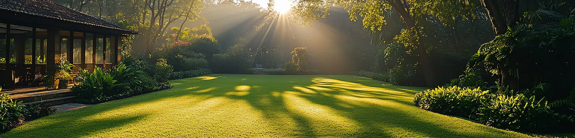 Sunlight filtering through trees casting shadows on a lush green lawn next to a house patio.