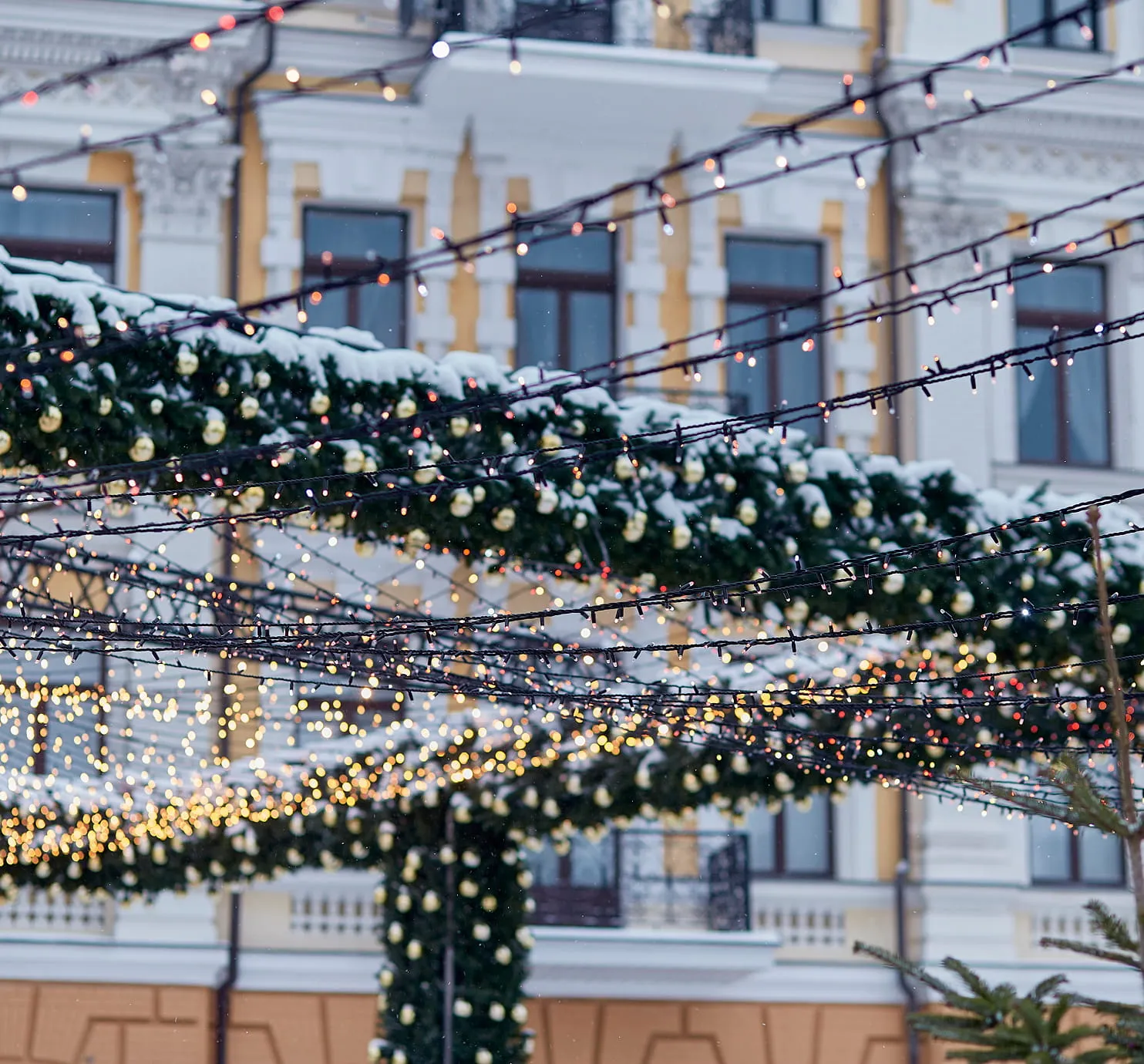 Outdoor scene with festive string lights and snow-covered greenery in front of a historic building with large windows.