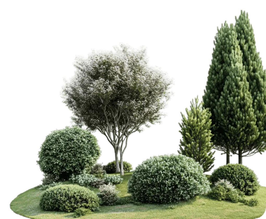 A landscaped garden area with various green bushes and trees on a grassy patch.