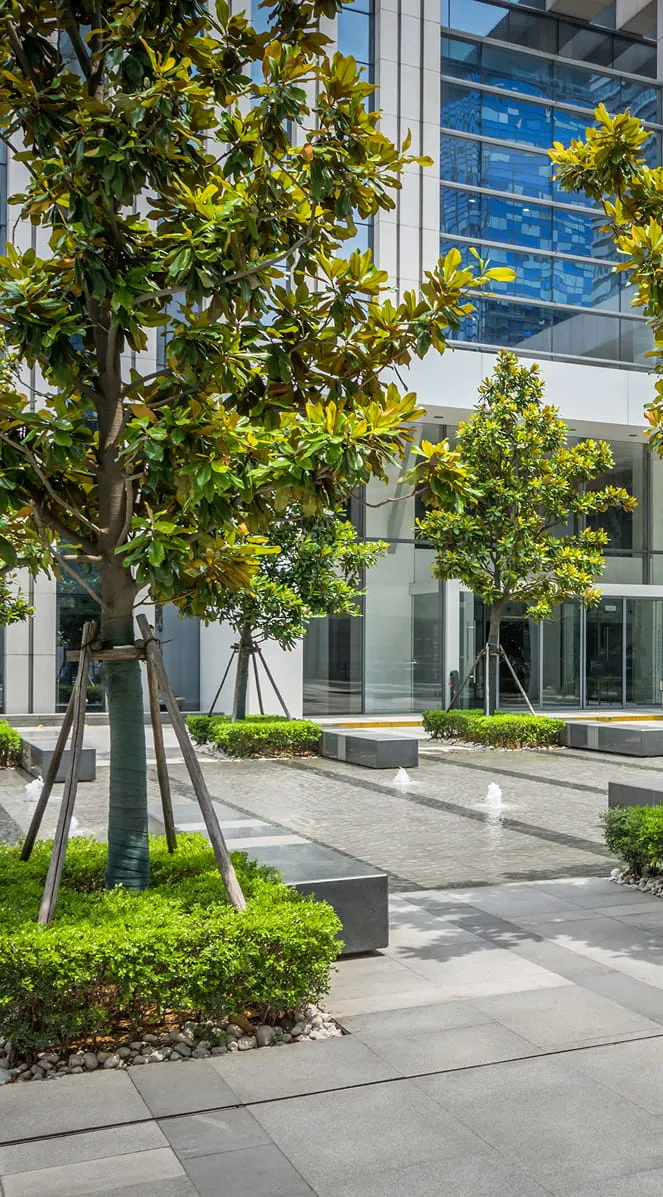 Modern courtyard with young trees supported by wooden stakes, stone benches, small water fountains, and a glass building façade reflecting a blue sky.
