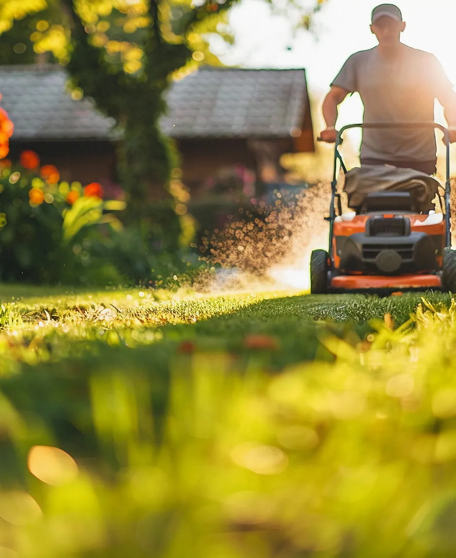 Person mowing a sunlit garden lawn with a push lawnmower near a house and flowers.