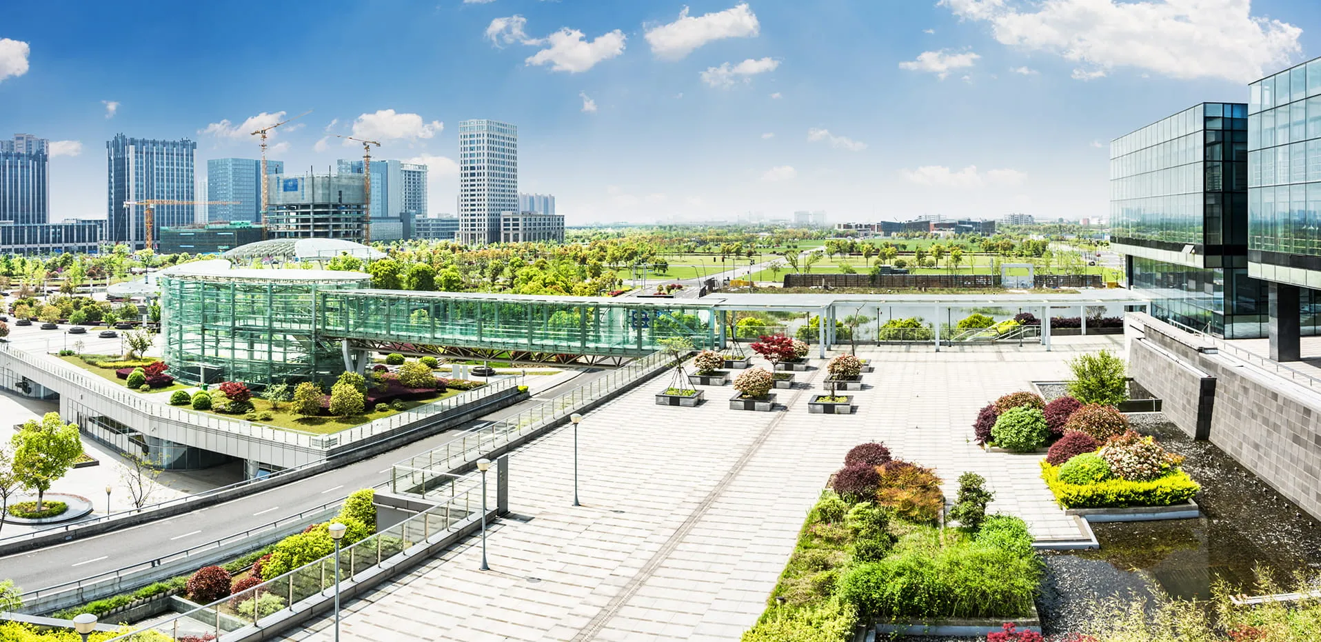 Modern cityscape with glass buildings, construction cranes, greenery, and a clear blue sky.
