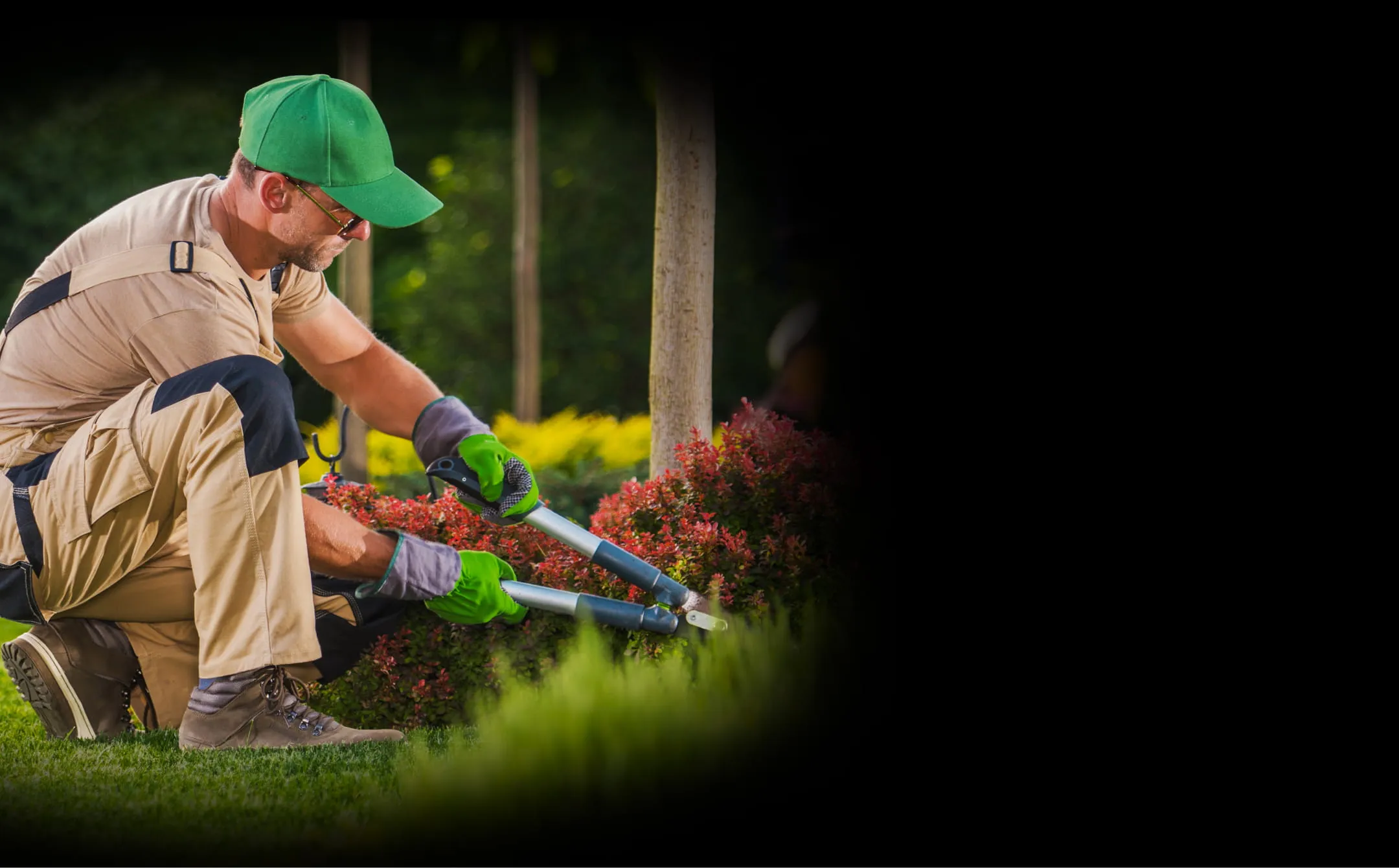 Man wearing green cap and gloves trimming a bush with garden shears in a garden.