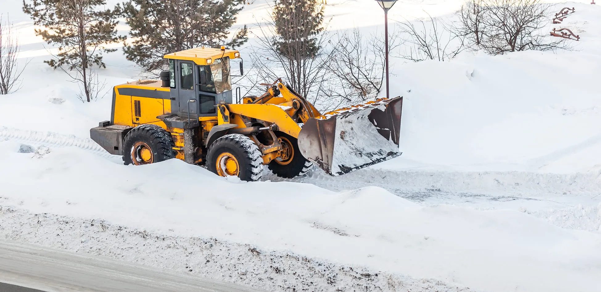 Yellow front loader clearing snow from a path surrounded by snow-covered trees and ground.