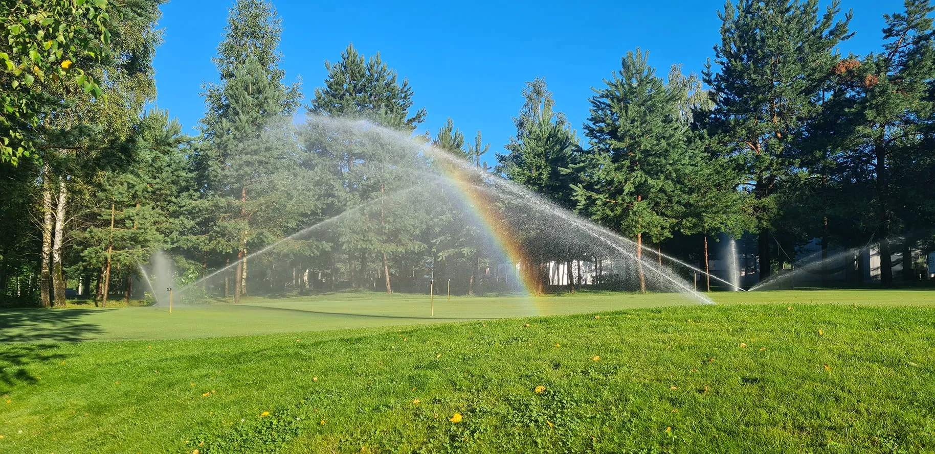 Irrigation sprinklers watering a green park area with a rainbow formed in the mist against a background of tall pine trees.