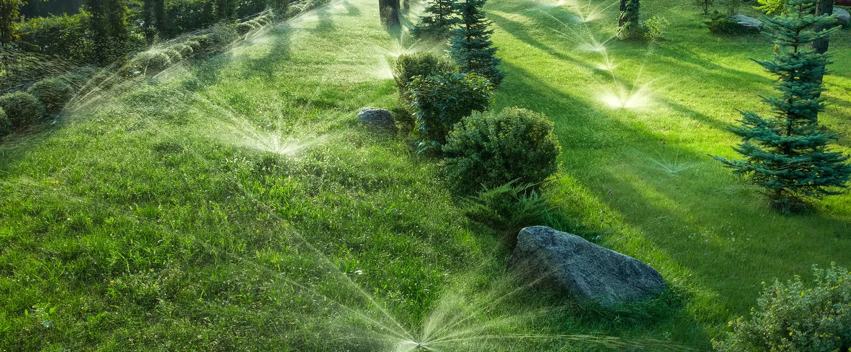 Lawn with multiple sprinklers watering green grass and small bushes, surrounded by pine trees and large rocks.
