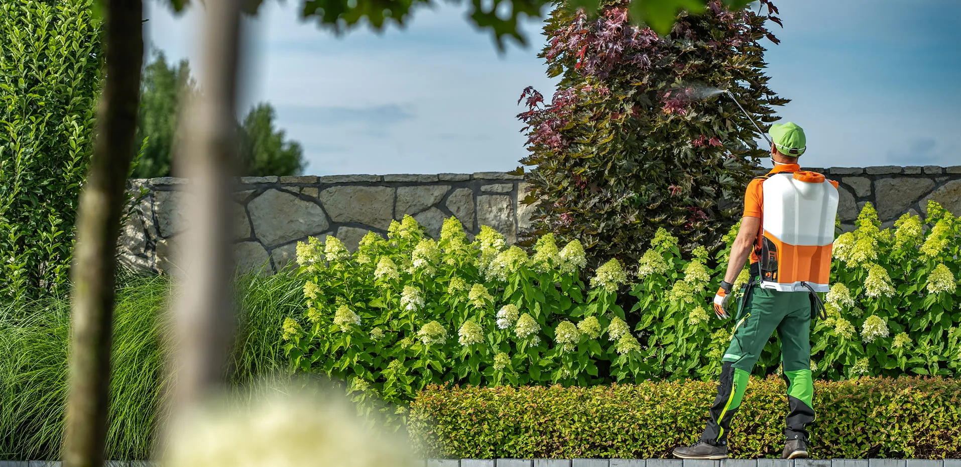 Gardener wearing a green cap and orange shirt spraying plants with a backpack sprayer in a garden.