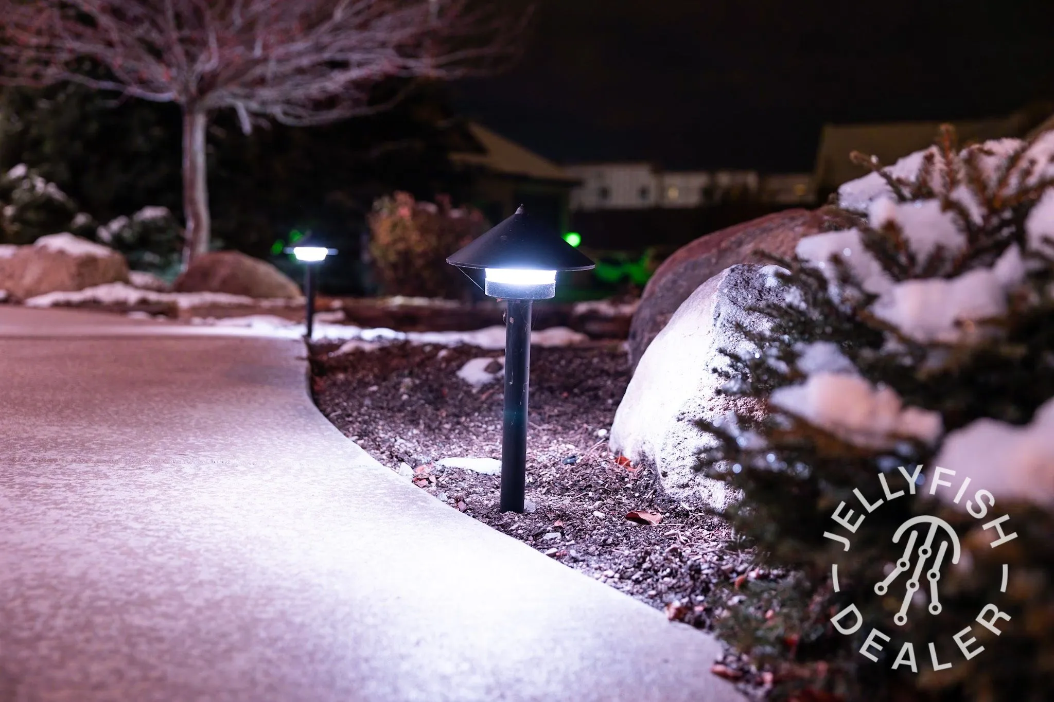 Landscape lighting along a snowy walkway in Sioux Falls installed by 605 Holiday Lighting, authorized Jellyfish Lighting dealer