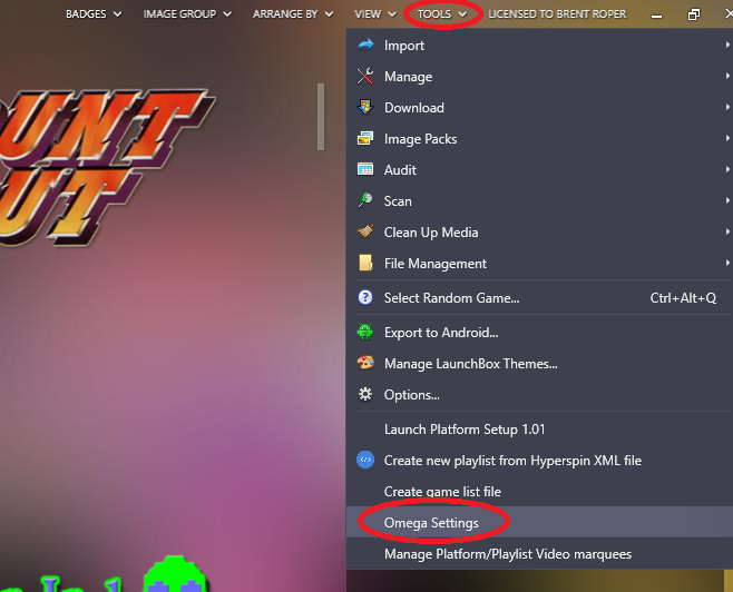 LaunchBox Omega Settings