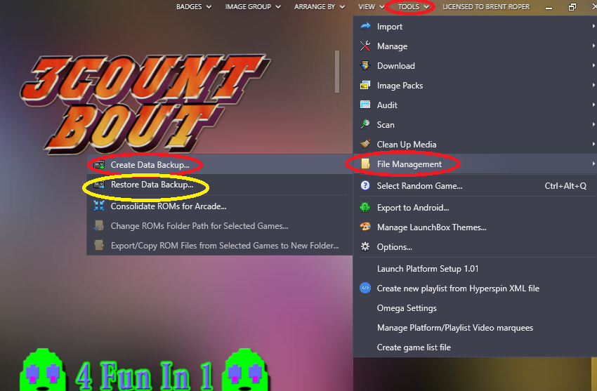 LaunchBox Tools File Management