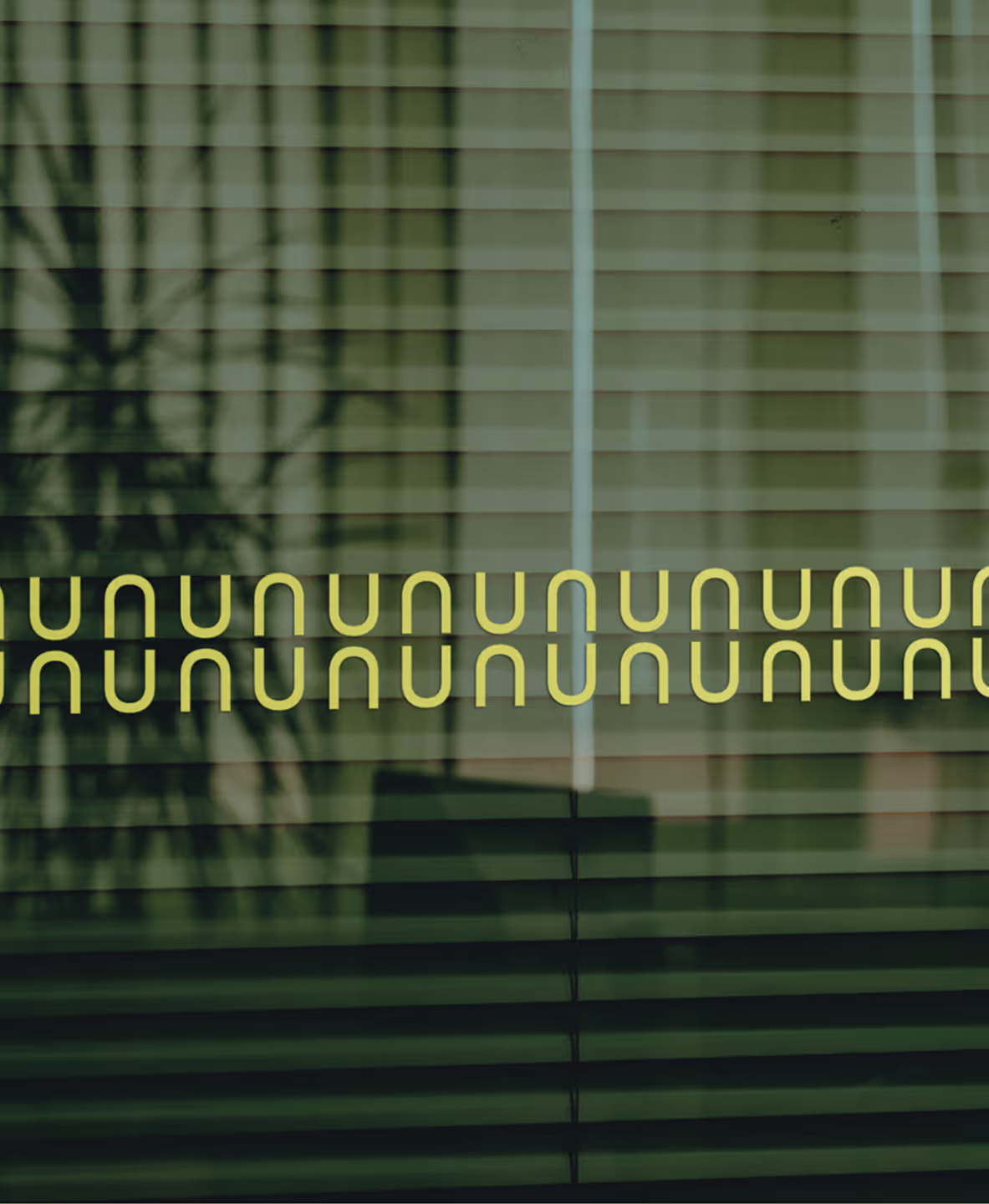 Close-up of window blinds casting shadows on a glass surface with a greenish tint and yellowish text in a stylized font across the middle.