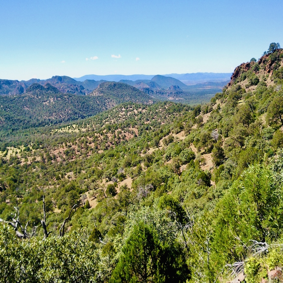 Rancho ganadero