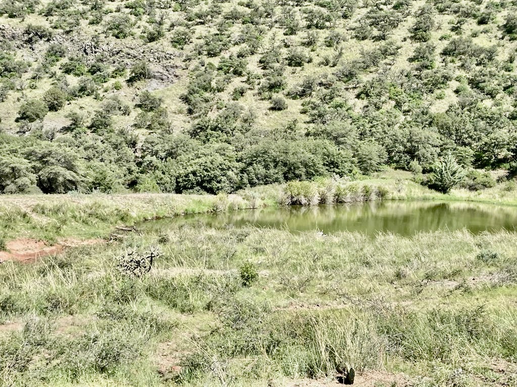 Ranchos ganaderos