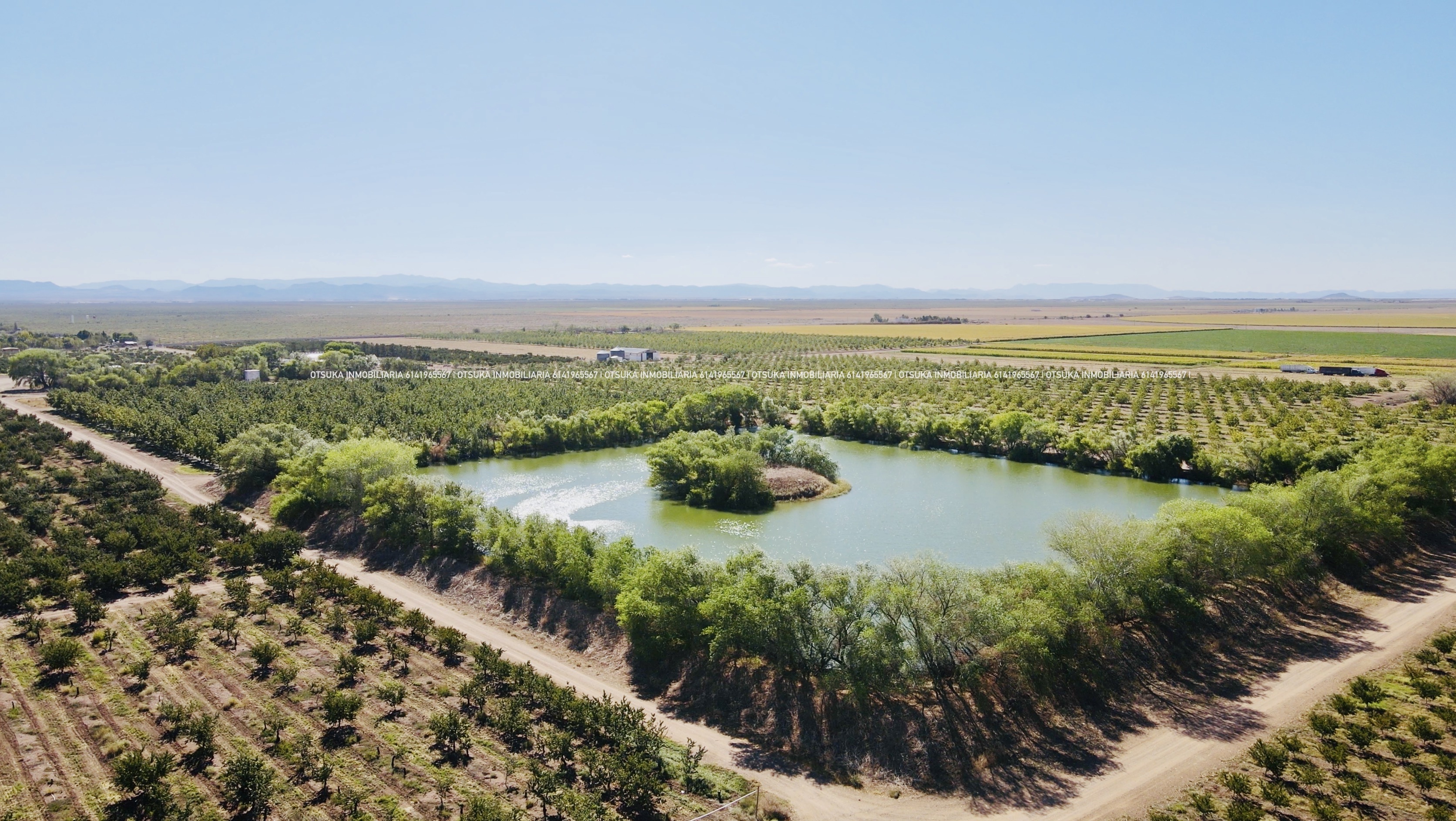 Rancho Agrícola de Alta Productividad | Janos, Chihuahua, México