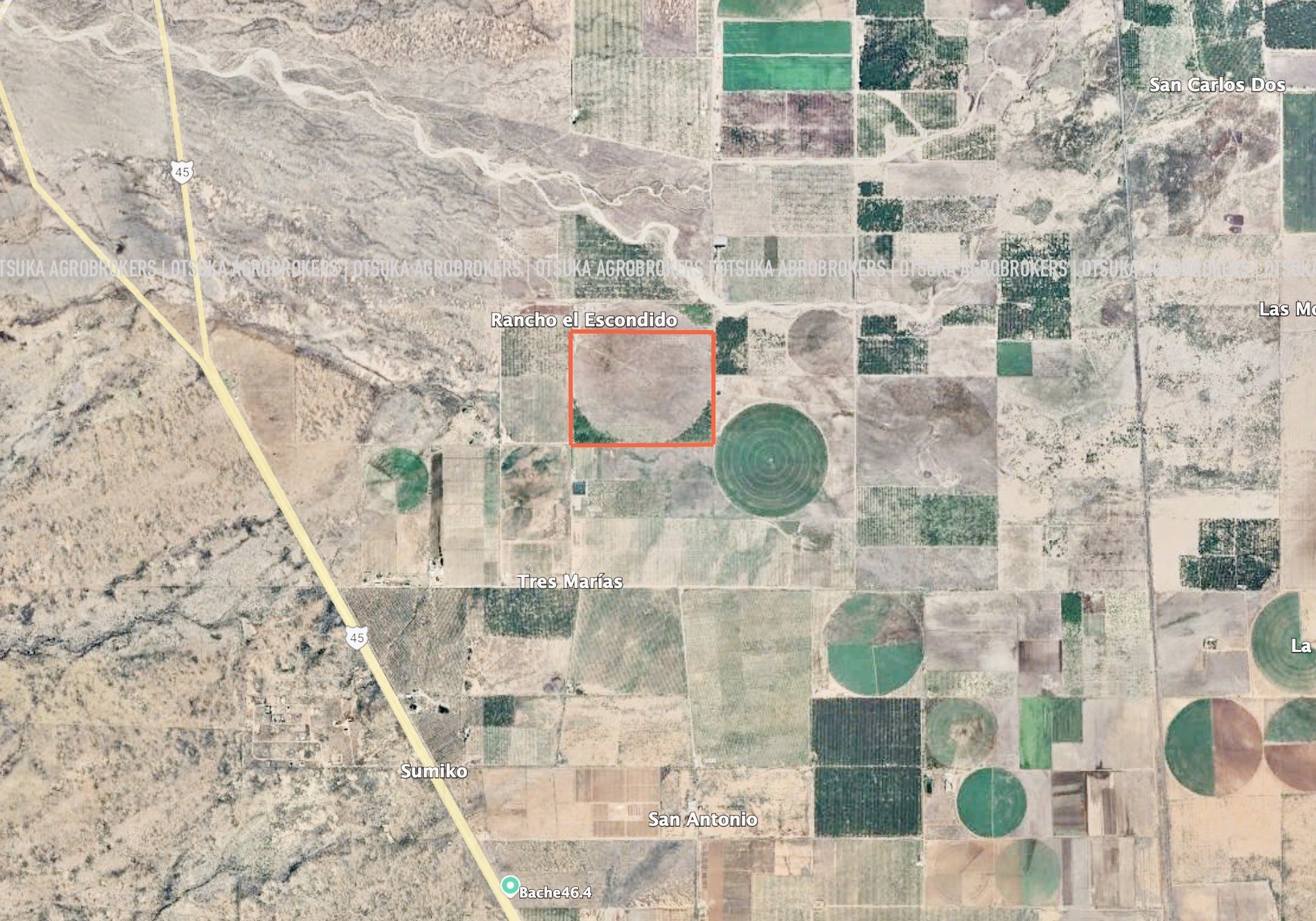 RANCHO AGRÍCOLA Y NOGALERO EN VENTA EN CHIHUAHUA, CHIHUAHUA