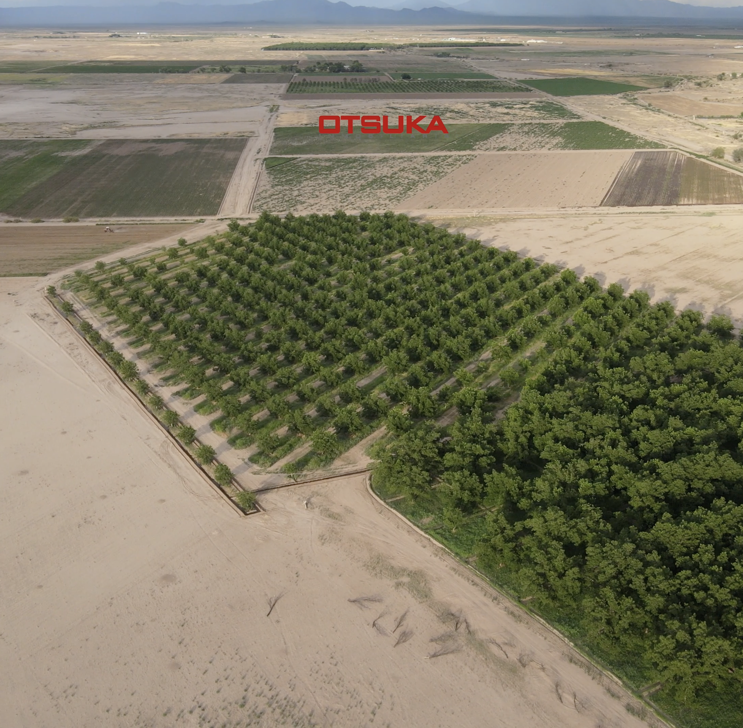 RANCHO NOGALERO EN VENTA