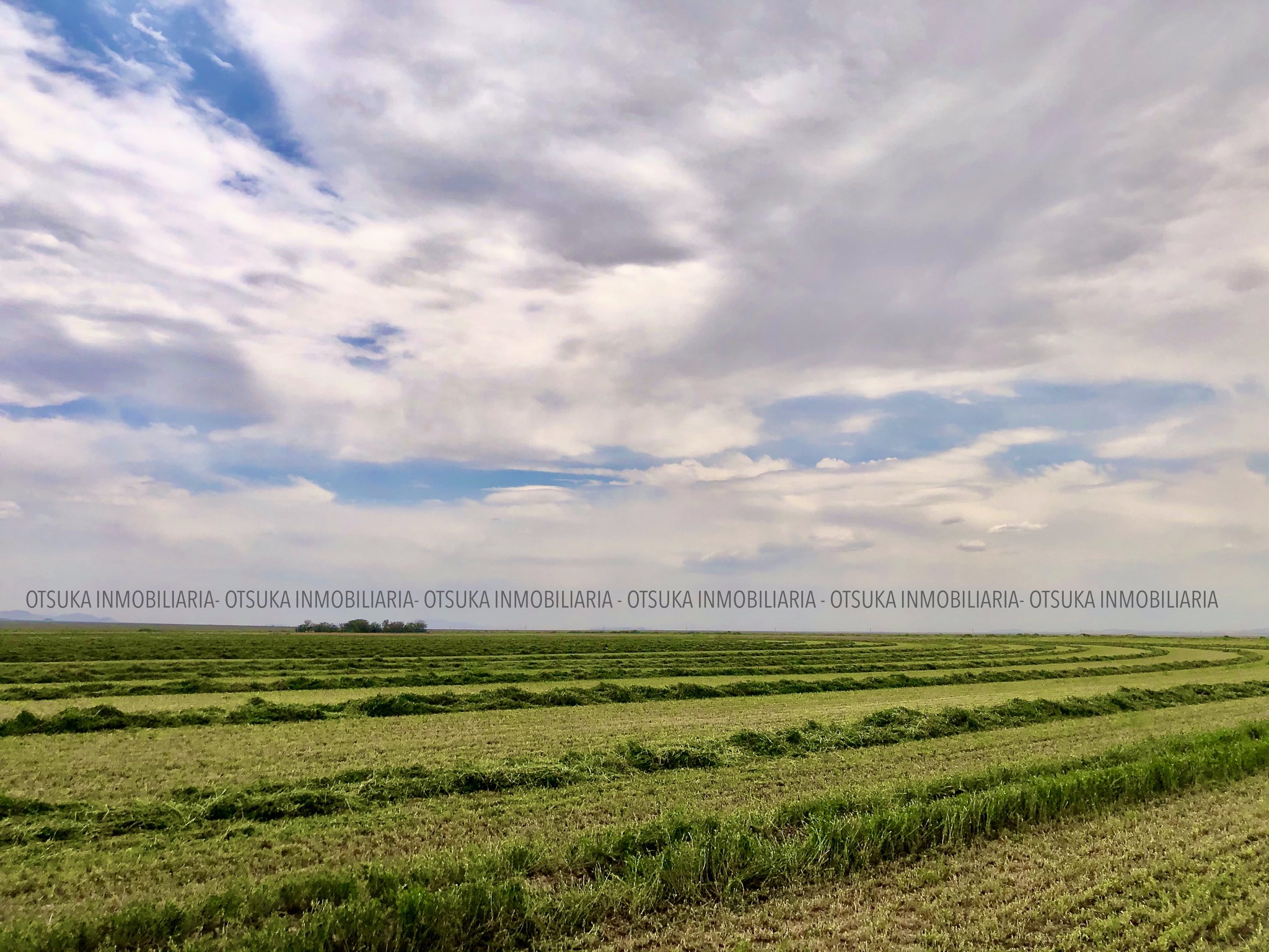 RANCHO AGRÍCOLA Y GANADERO EN VENTA