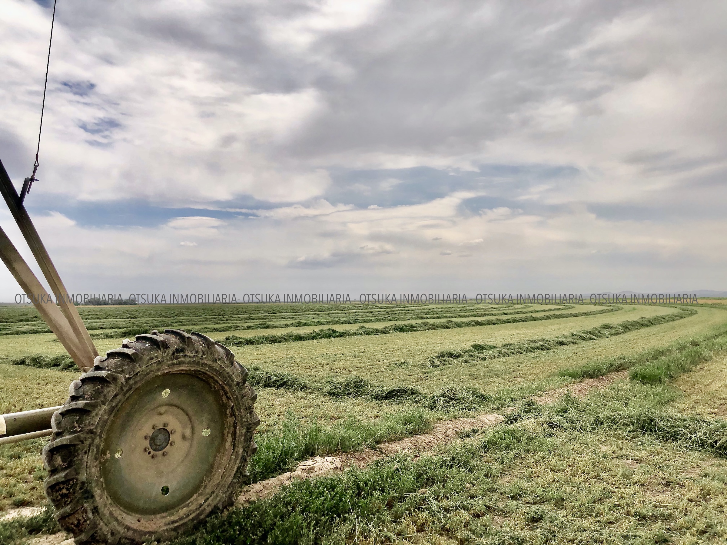 El campo rebasa a México