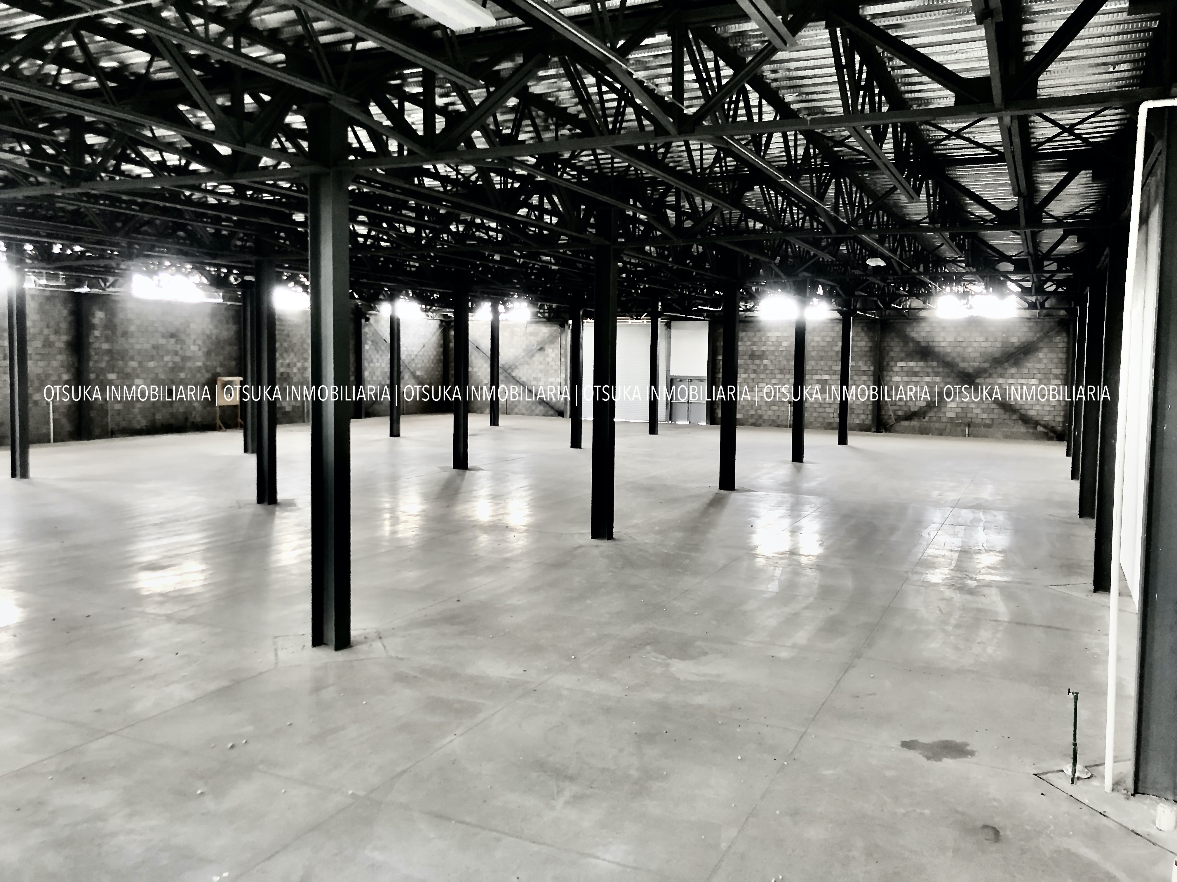 Reportes del mercado inmobiliario industrial en México. 