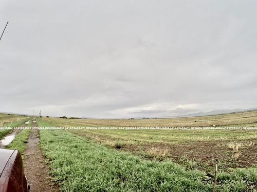 El mercado de la tierra que produce