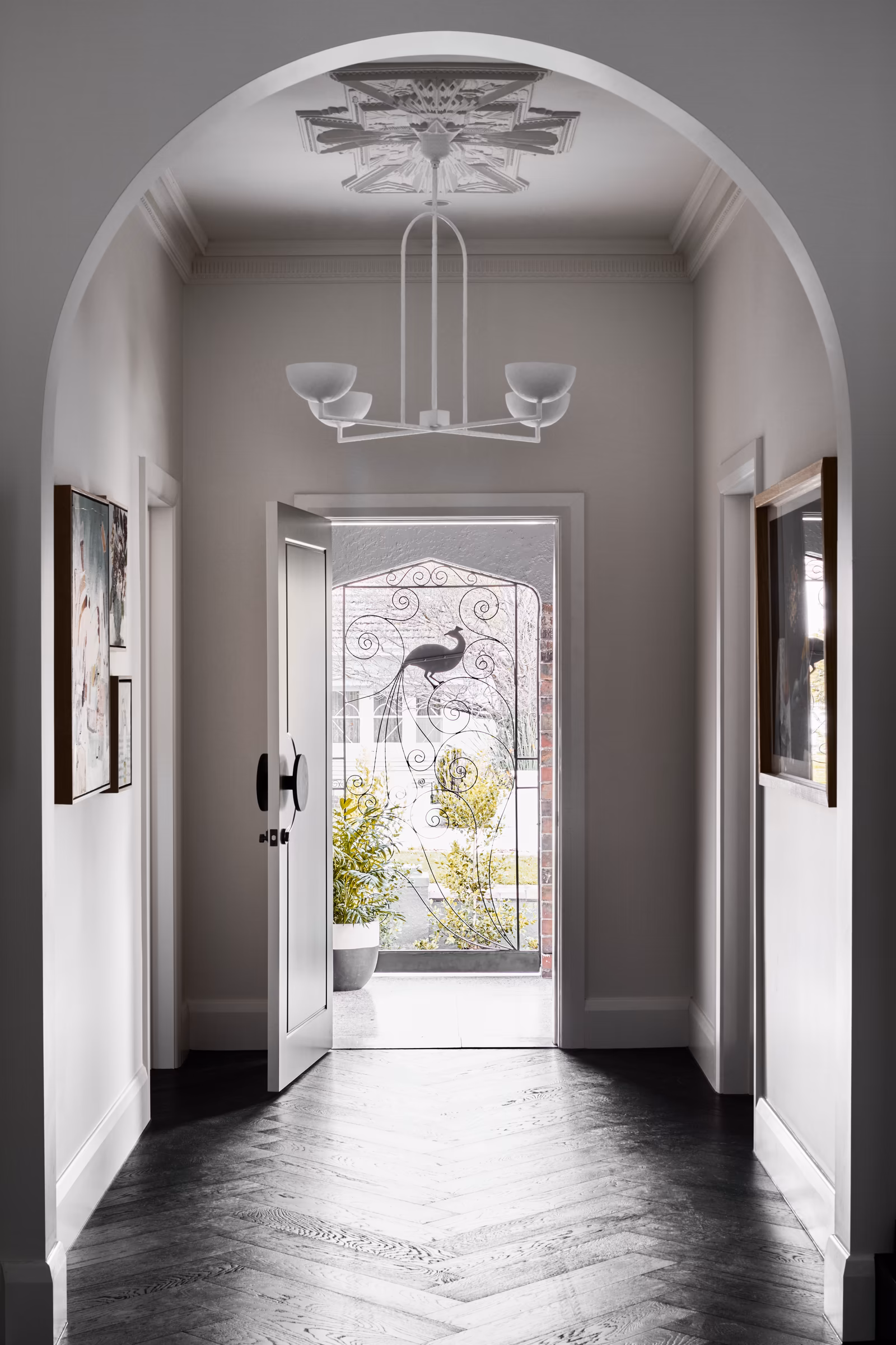 arched hallway with dark herringbone floor, ornate ceiling rose and peacock-motif iron screen door, opus 5, caulfield north