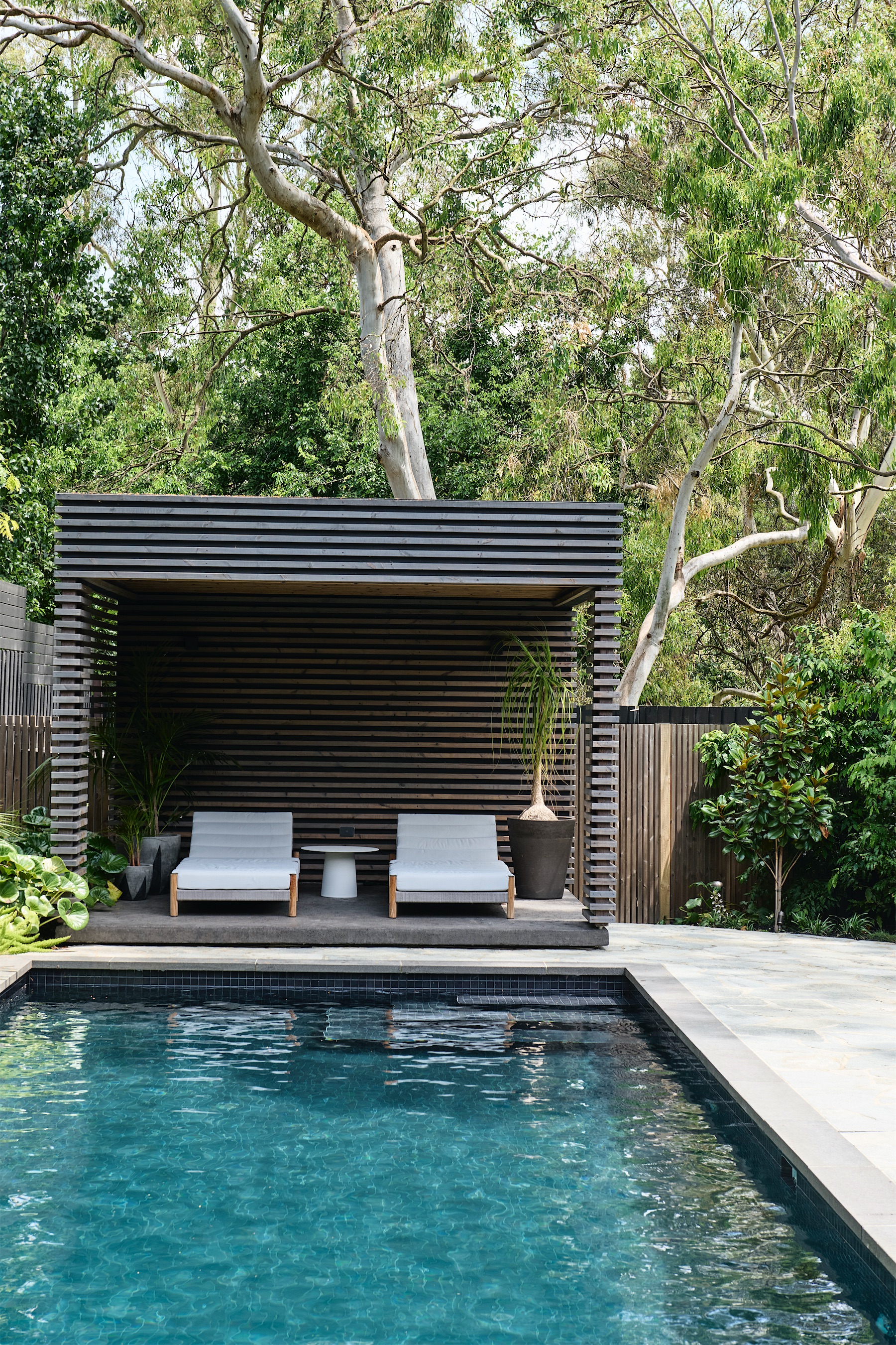 pool with dark tiles before a slatted timber cabana with two sun loungers, beneath gum trees, opus 2, ashburton