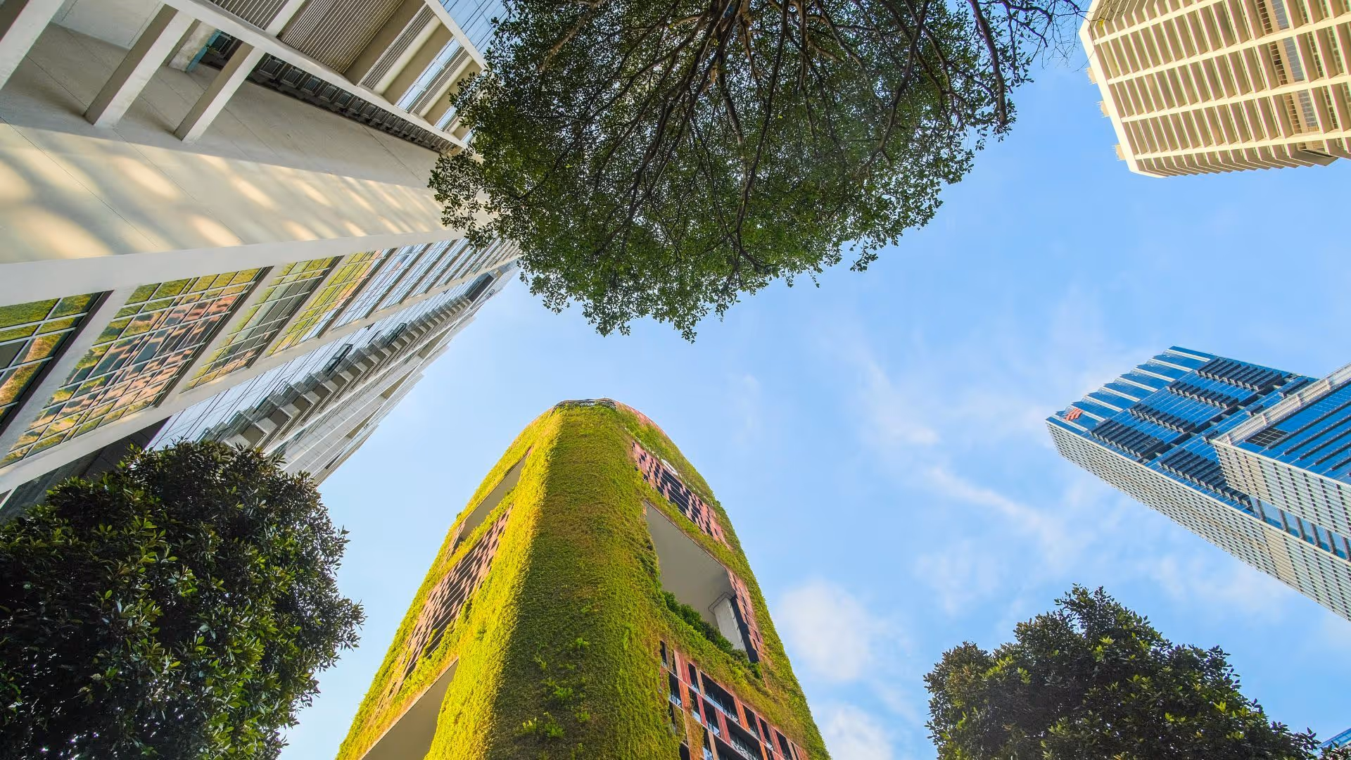 View looking up at modern skyscrapers with one building covered in green moss and surrounded by leafy trees under a blue sky.