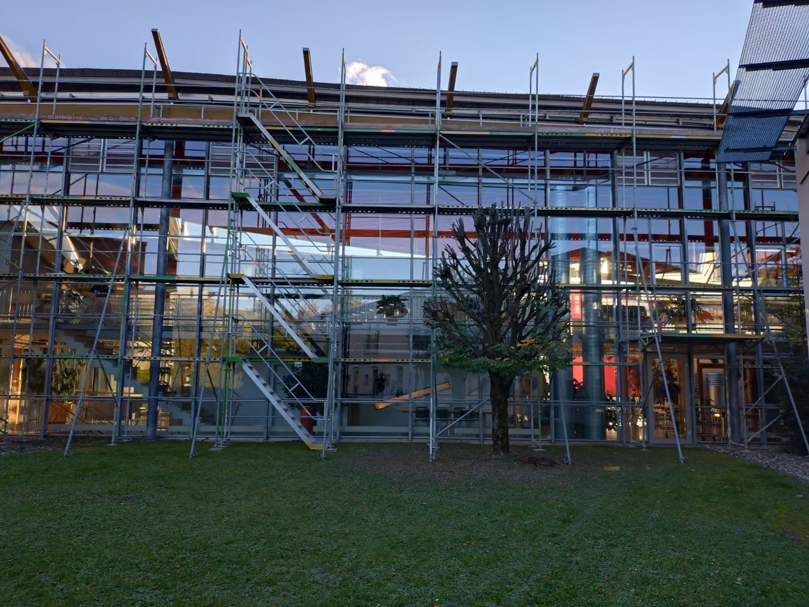 Gebäude mit Glasfassade, vor dem sich ein Gerüst befindet, und ein beschnittener Baum in der Mitte auf einer Rasenfläche.