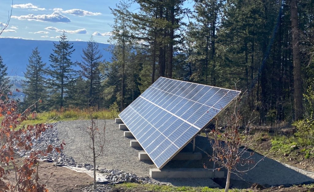 Trends in Solar Adoption Locally and Globally