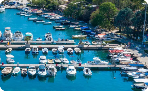 A marina with numerous small boats docked along piers on clear blue water surrounded by trees and a walkway in Budva.