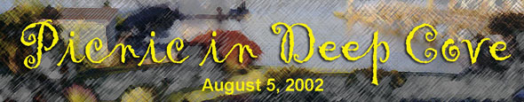 IWS Picnic in Deep Cove banner