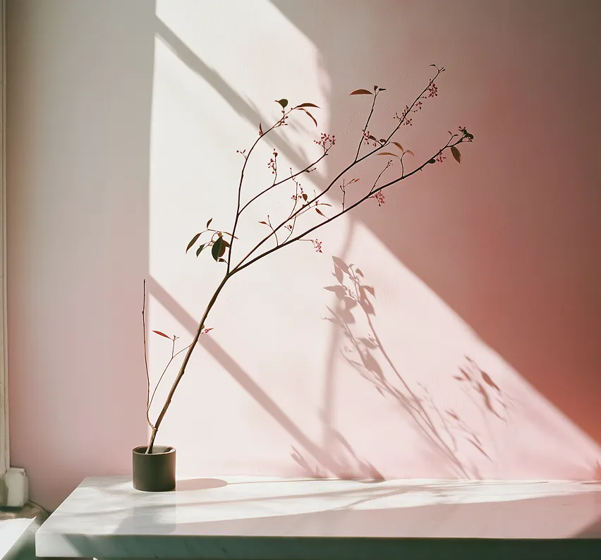 Conversion-Led Digital Optimization