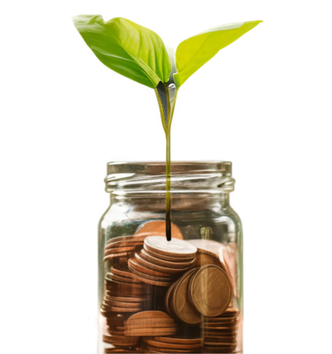 Unlocking wealth with max return