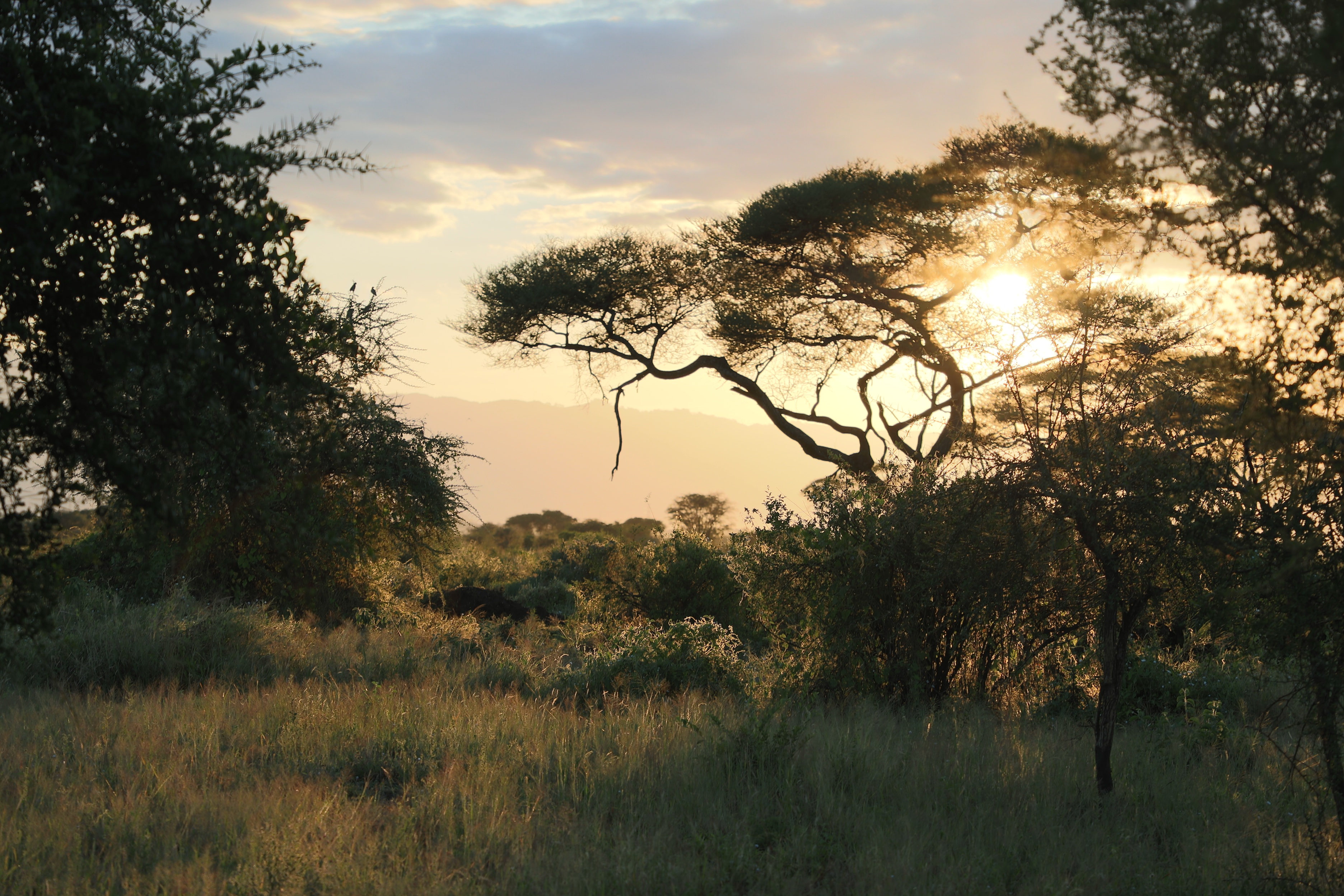 image of common sitting area (for a bed & breakfast)