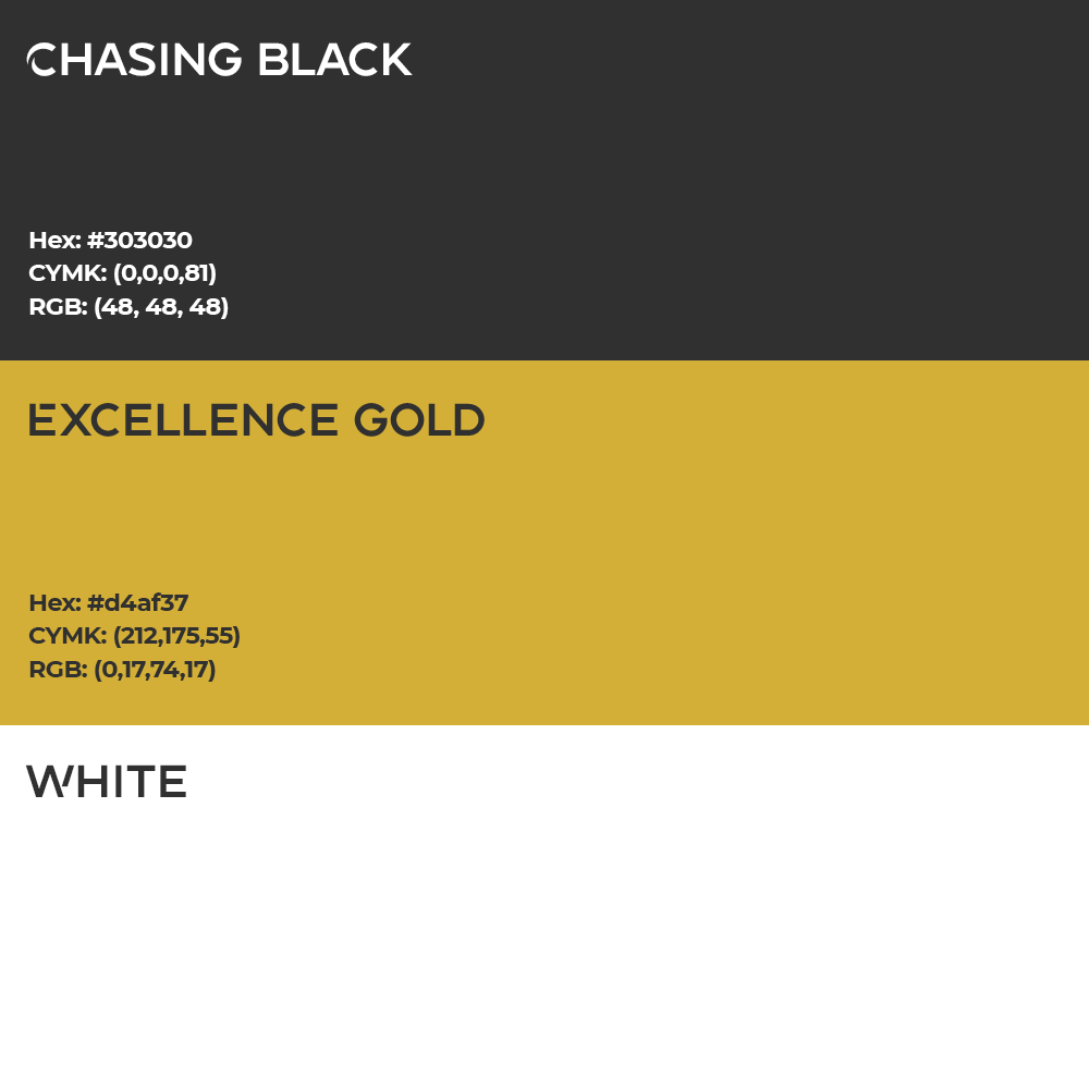 Chasing Excellence strategic color palette engineered for brand trust and visual impact.