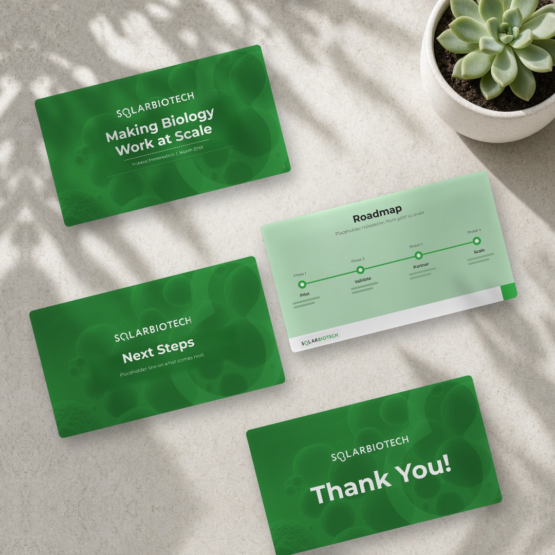 SolarBio mock-up of printed pitch deck slide cards beside a plant, showing layout and design with placeholder content.