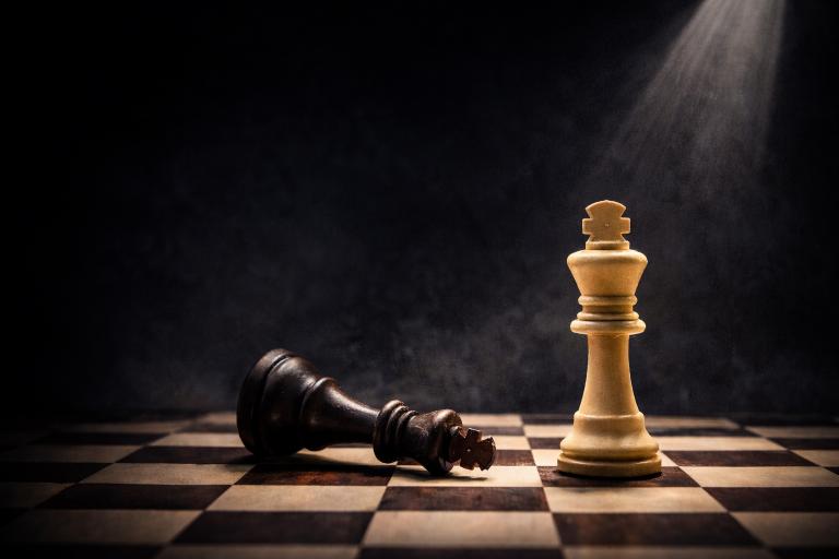 Political Consulting