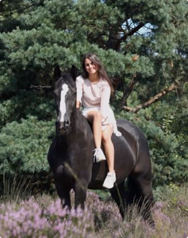 Young woman in a light dress sitting on a black horse in a grassy area with purple flowers and green trees in the background.