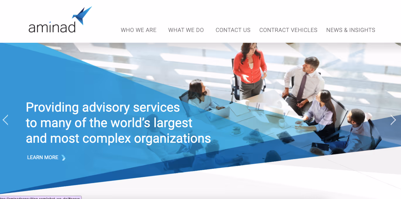 Aminad website home page hero section.