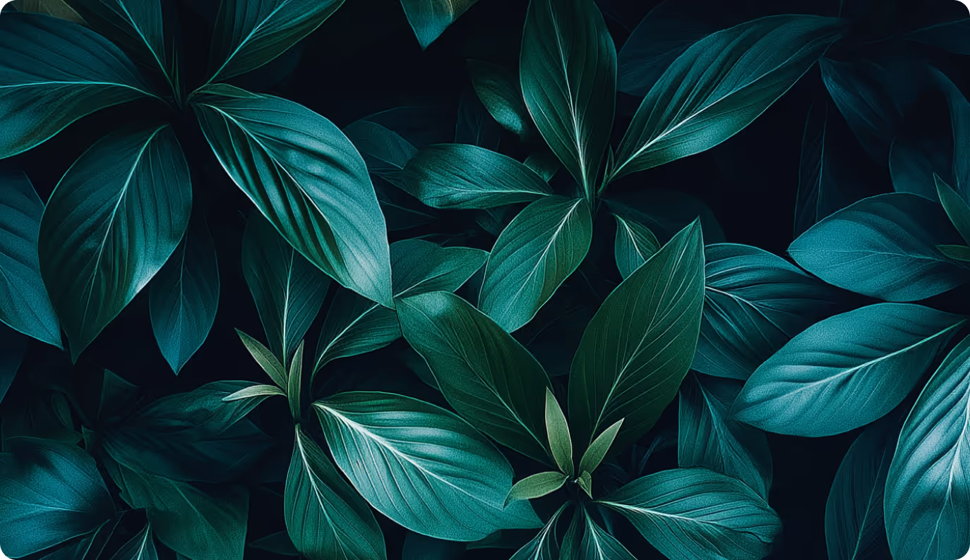 Abstract teal foliage pattern on a dark background
