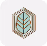 Geometric leaf emblem with teal and gold line details
