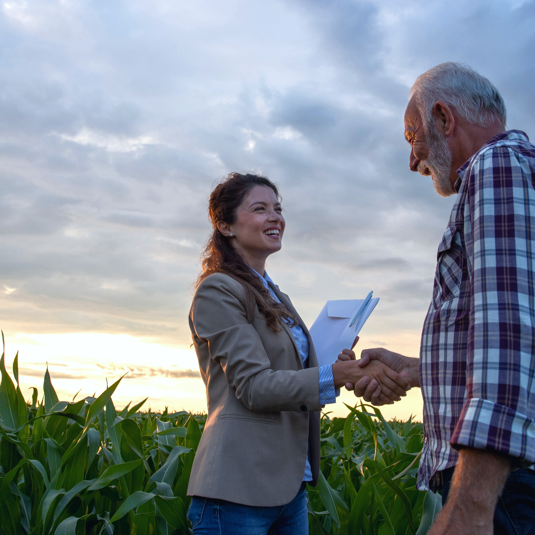 image of educational workshops in progress (for a environmental conservation nonprofit)