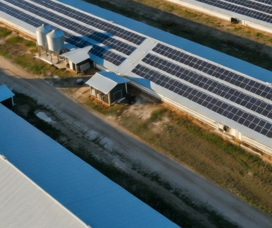 Agricultural facility with rooftop solar
