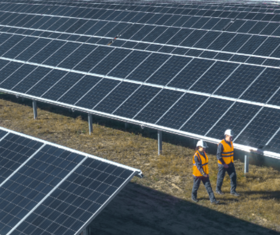 image of a business meeting (for a data analytics and business intelligence)