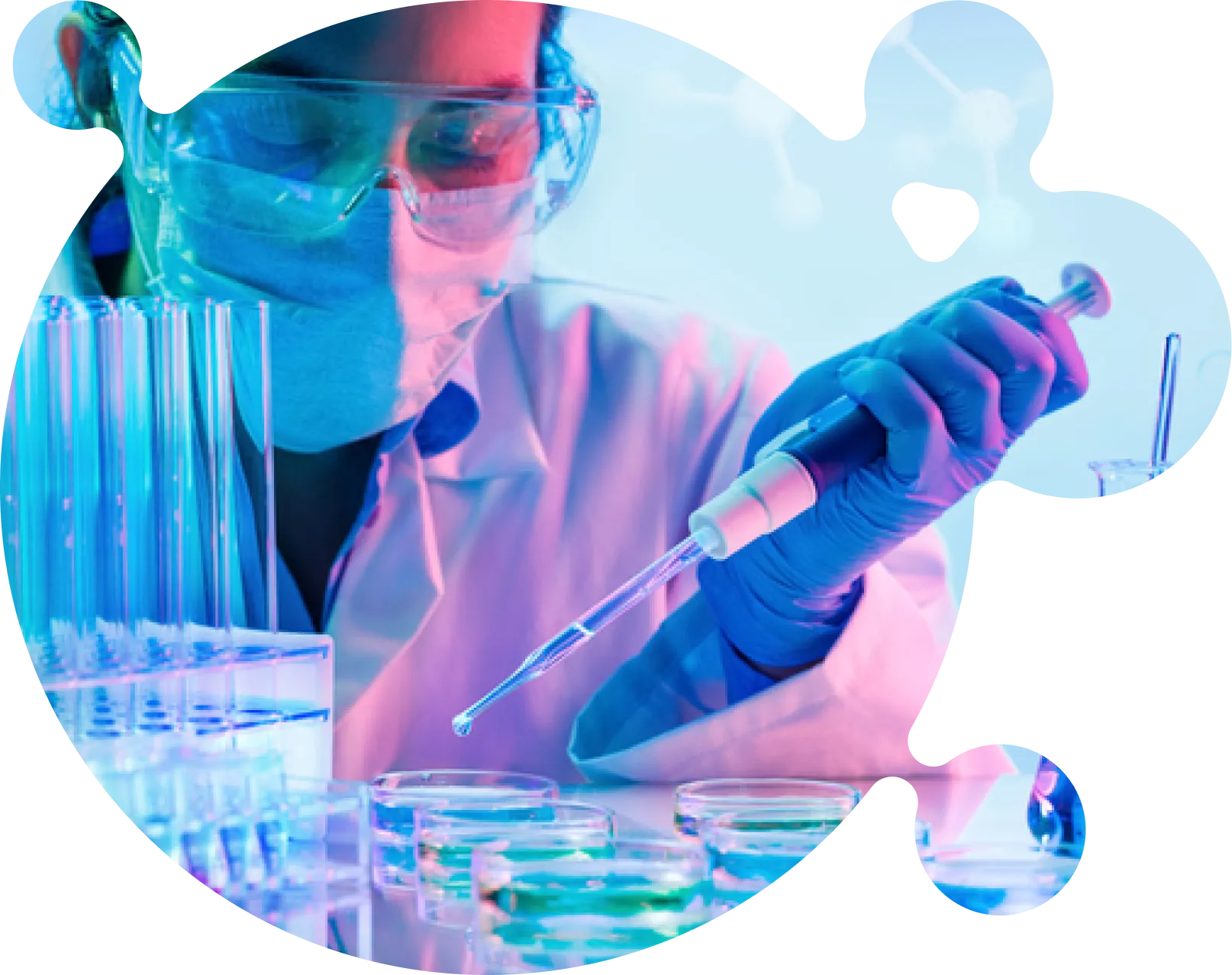 A scientist in protective gear using a pipette to transfer liquid into petri dishes in a laboratory setting with blue-tinted lighting.