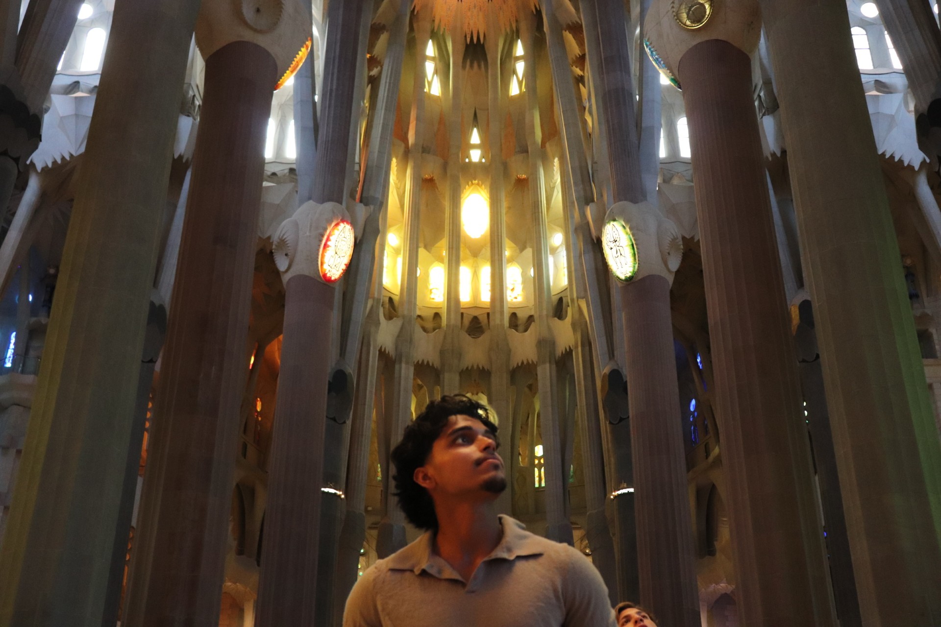 Man looking up inside a cathedral with tall illuminated columns and intricate ceiling architecture.