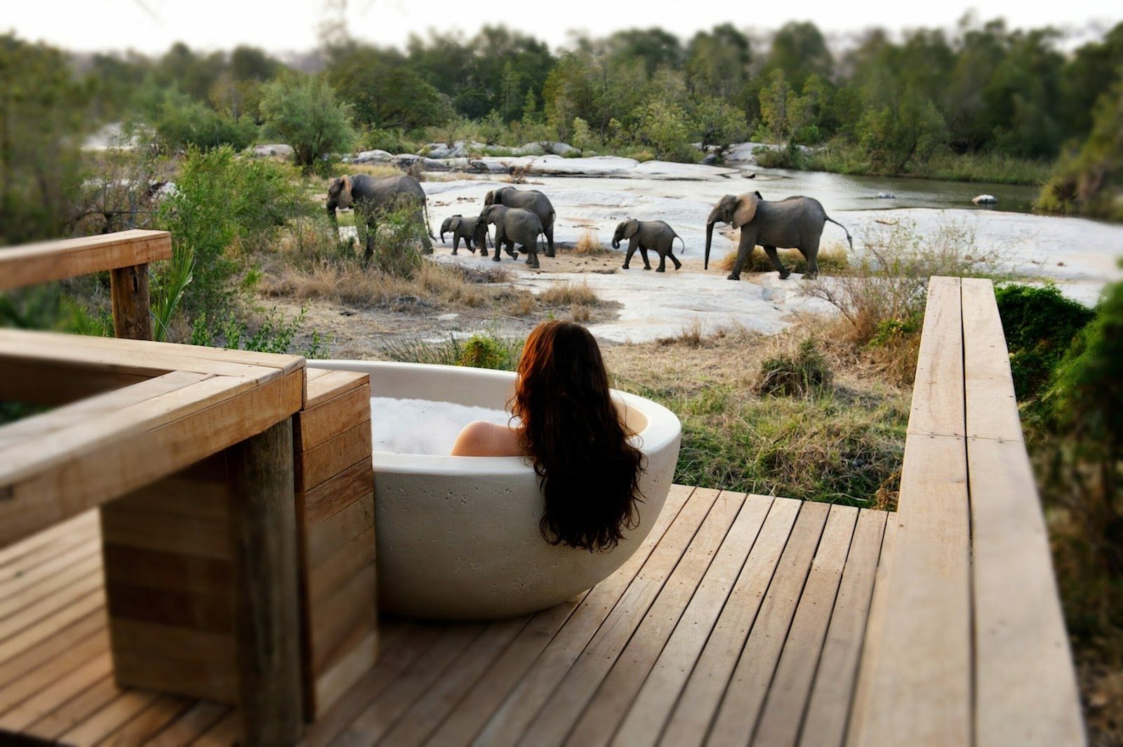Londolozi, Kruger