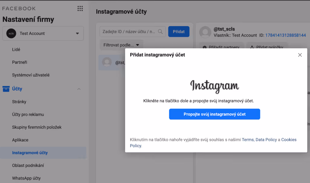pridani insatgramu do business manager