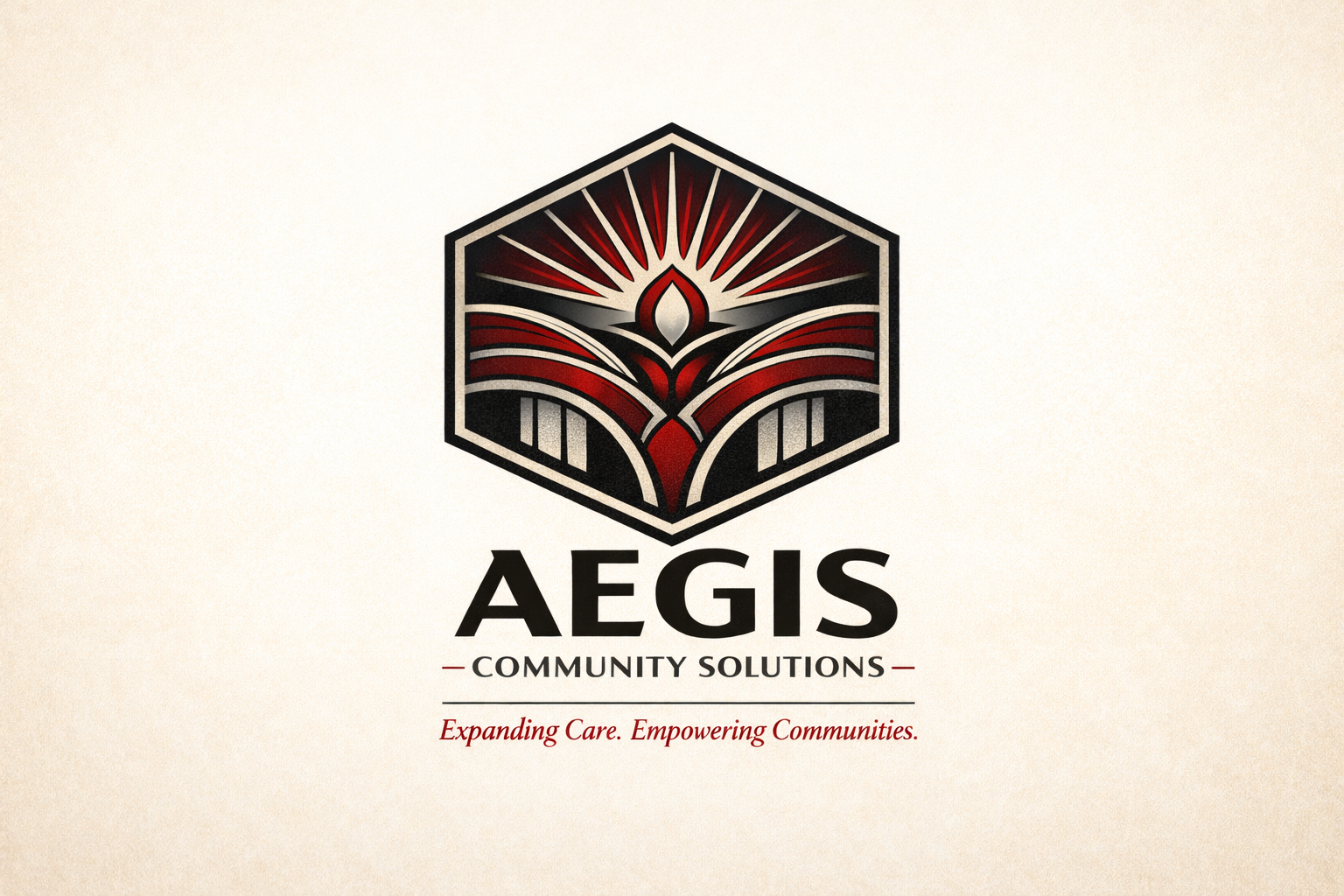 Aegis Community Solutions