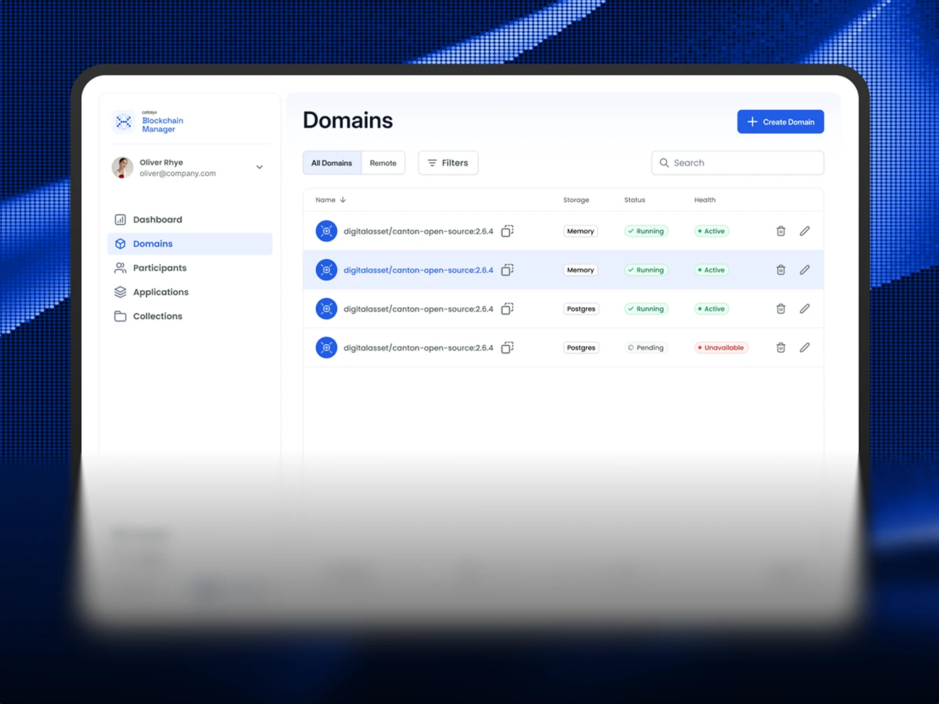 User interface of a blockchain manager showing domain list with status, storage type, and health indicators.